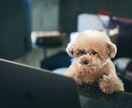 日常のモヤモヤや気になったことお話できます 愚痴聞きも得意です！人と話すだけでスッキリすることありますよ イメージ6