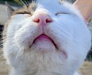 雑談、愚痴、悩み、うけつけます なんでも話してスッキリ！お気楽にどうぞー イメージ2