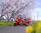 皆様の愛車のお写真を更に素敵にします 皆様の愛車を更にかっこよく引き立たせるレタッチ！ イメージ3