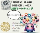 Instagram日本人からの「いいね」増加します 振り分け可能⇢インスタ「いいね」＋100～★ターゲット：日本 イメージ4