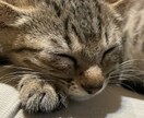 短い時間でもお話ききます どんなお話でもOK 誰かに聞いてもらうてスッキリしましょ イメージ1