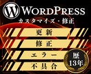 サイトの不具合解消・カスタマイズいたします エンジニア歴13年の経験で迅速丁寧に対応します イメージ1