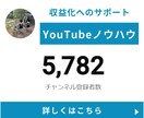 これからYouTubeを始める方の相談乗ります 現在チャンネル登録者5000人のチャンネルを運営中！ イメージ2