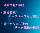 メールアドレスの漏洩情報を調べます セキュリティの専門家による、メールアドレス漏洩調査サービス イメージ3