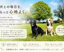 犬の気持ちに寄り添ったトレーニング方法を提供します やさしさと科学で、信頼を育むドッグトレーニング イメージ1