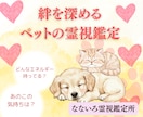 大切なペットのエネルギー霊視鑑定します 【霊視鑑定】愛するペットのエネルギーリーディング イメージ1