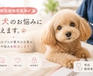 現役動物看護師が愛犬のお悩みに答えます 動物のプロが愛犬の日常の不安や悩みを解決します！ イメージ1