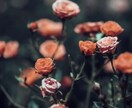 霊視鑑定 あの人の本音と未来を深層まで視抜きます 恋愛に特化した霊視鑑定、本気で向き合いたい方のみお受けします イメージ10