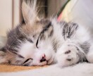不眠症★不安・緊張などで眠れない夜はお話します 雑談★話し相手★癒し★安眠★眠れるまでお話しいたします⭐️ イメージ4