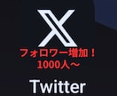 ツイッター（Ｘ）フォロワー増やします 販売再開します。Xフォロワー宣伝します。 イメージ9