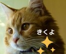 お悩みから雑談までライン感覚で60分間お聞きします 恋愛関係/夫婦関係/人間関係/話し相手/コロナ疲れ/不安など イメージ2