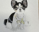 犬や猫の絵を描きます 画像からえんぴつや顔彩で絵を描きます。 イメージ2