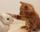 僕は絶対にあなたの力になれます 悩みでもなんでも1回僕に話してみて下さい！ イメージ1