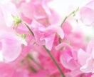 心と行動の新習慣で第２の人生を整えるサポートします 習慣力で将来に差がでる50代。古い習慣を手放して身軽に生きる イメージ9