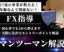 期限なし専業トレーダーがマンツーマンFX指導します ・実際のシナリオを見せながら教えていきます。 イメージ1