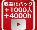 登録者1000人&再生時間4000時間増加させます 宣伝による登録者と再生時間増加で収益化サポートを行います イメージ1