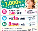 SNSや商品向けのキャッチコピーを作ります あなたの魅力が伝わる言葉を複数ご提案します イメージ2