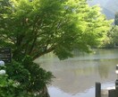 モニター価格で✨誰かに聞いて欲しい！に寄り添います 短時間でも歓迎♬何でもお気軽にお話し下さい✨ イメージ10