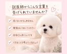 愛犬との限られた時間に寄り添います 残された大切な時間のお気持ちに寄り添います イメージ2