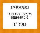 １日１ページ勉強（毎日ノート等）の問題を出題します あなた専用にカスタマイズされた問題を毎日解こう！ イメージ1