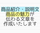 商品紹介を丁寧に作成いたします 商品の魅力を伝える商品紹介／説明文、レビューをお求めの方へ イメージ1