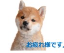 写真からLINEスタンプを作ります 家族や友達と使えるスタンプの作成/お店の商品のスタンプなど イメージ1