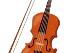 バイオリンのこと教えます 初心者の方限定。小さな疑問など、なんでも答えます。 イメージ1