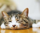 作詞いたします あなたの想像を歌詞にし希望通りの詩を書かせていただきます。 イメージ1