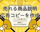 売れる商品説明・セールスコピーを作成します 「いい商品なのに売れない…」その原因、“文章”かもしれません イメージ1