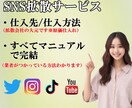 SNS拡散サービスの仕入先/仕組み教えます YouTube/インスタ/Twitter/TikTok！簡単 イメージ1