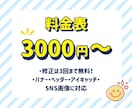 ぱっと目を引くWeb画像・バナー制作します 和風・高級感〜ポップまで！幅広いテイストに対応するバナー作成 イメージ2