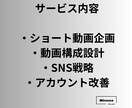 Instagram/TikTok運用相談ます SNSショート動画の企画・戦略をプロ視点で設計します イメージ3
