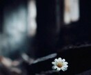 人生の流れと運気を総合的に霊視します 仕事、子宝、恋愛、開運など、あらゆるお悩みを総合鑑定可能 イメージ5