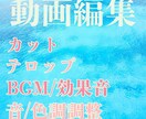 YouTube/SNS/広告用の動画編集を致します 頭で思い描いている動画、実現しましょう！ イメージ2