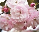 即日納品可能！！写真の画像加工をさせて頂きます いい写真を更に映えるよう、他には主に風景画を加工致します。 イメージ5