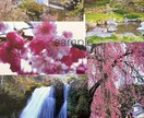 探している自然や風景写真が見つかります 写真撮影歴18年になるおじぃちゃんの写真館*. イメージ1