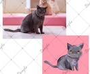 ペットや好きな動物のデフォルメアイコン描きます デフォルメでゆるかわなシンプルでかわいいアイコンです！ イメージ4