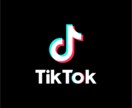 ブルーカラーの採用TikTok運用代行をいたします 元人事、ブルーカラー経験の僕が採用課題を解決いたします! イメージ1