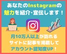 月12万PVサイトでInstagramを紹介します あなたのInstagramの認知度の向上に！ イメージ1