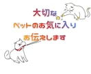 ペットのお気に入りをチャネリングで聞きます ご飯、おもちゃ、寝所が気に入っているかメッセージ受け取ります イメージ1