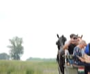 ハンガリー特化型の旅を提案します 朝は小鳥の声で目覚める旅籠滞在をプロデュース。 イメージ5
