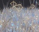 広告など様々な用途向け写真素材をご用意しております 植物、風景、水の生き物たちの美しい素材を活かしてます イメージ5
