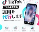 TikTok広告の運用を代行します TikTok広告の運用代行を行います イメージ1