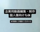 動画編集/制作をご予算に合わせて柔軟に対応ます 会社紹介/広告動画/商品説明/YouTube/ショート他対応 イメージ1