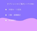 ホロスコープで2025年の運勢を占います /星の導きから未来を覗いてみませんか？ イメージ6
