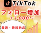 TikTok登録者＋1,000人増やします ✨最速・最短✨登録者＋1000人増えるまで拡大します イメージ1
