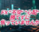 FX/あなたのトレードスタイル良い方向へ誘います 「何が正しいのか分からない」「判断に迷う」不安解消致します イメージ1