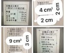 ご希望のレシピ・食事写真を栄養価計算します 写真の場合はおおよその分量を検討して計算！※商用の方は要相談 イメージ5