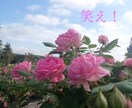 引きこもりの貴方へ、一歩を踏み出す言葉を届けます 元引きこもりニートがタロットカードとチャネリングで占います イメージ2