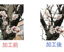 画像の白抜き加工のご依頼を承っております 面倒な人物の切り抜きやネットショップで販売する商品の白抜き イメージ2